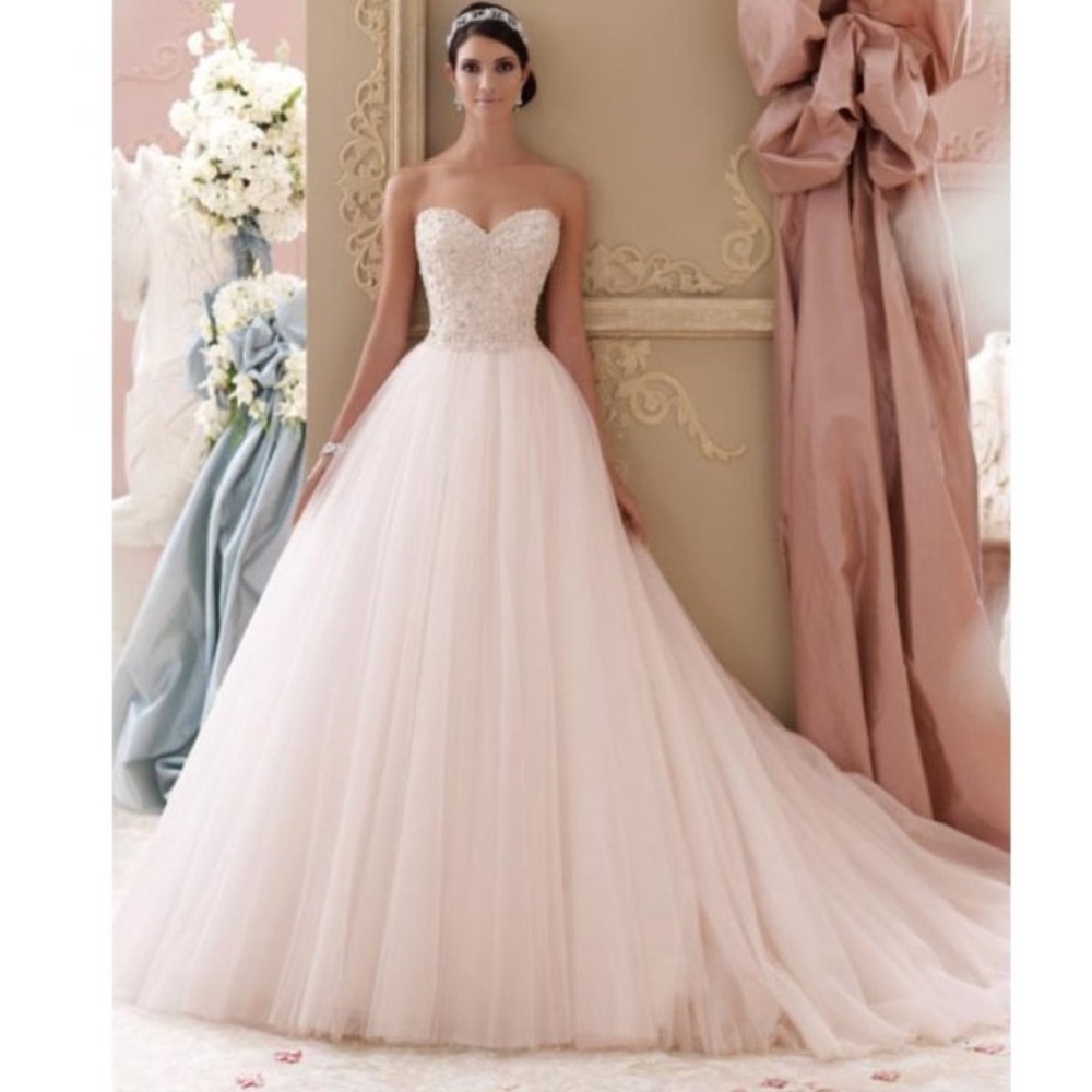 David Tutera 115250 Ivory Blush Gown